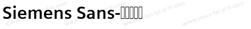 Siemens Sans字体转换